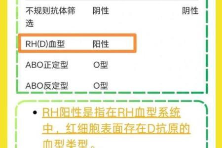 血型中rh阴性是什么意思