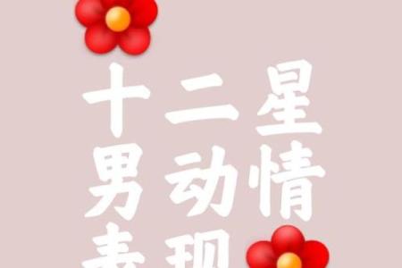 十二星座动情到极致是怎样的