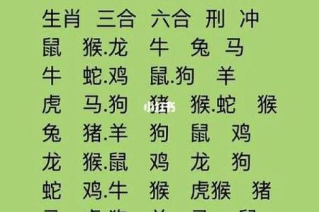 男女婚姻属相配对表 如何利用男女婚姻属相配对表选择恋爱对象