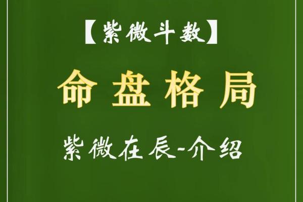 紫微斗数凶恶格局总结 紫微斗数里的狠角色？
