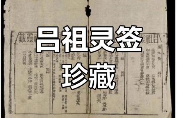 吕祖灵签野草闲花