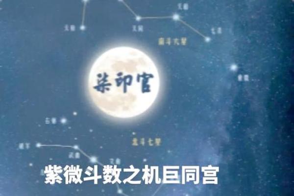 紫微斗数中，巨门星的性质和含义