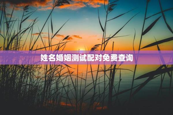 免费测试姓名配对,免费姓名配对缘分测试