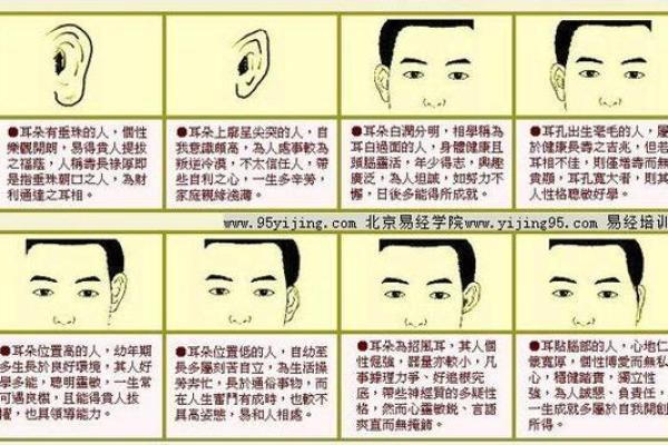 女人耳朵看相算命