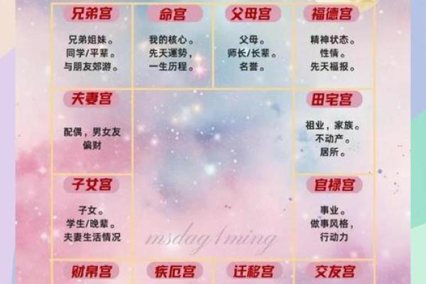 紫薇斗数中斗君的意义是什么