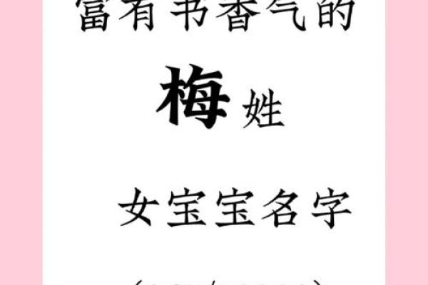 梅姓女孩名字大全-梅姓女孩起名字大全-梅姓名字大全姓名