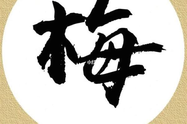 梅姓女孩名字大全-梅姓女孩起名字大全-梅姓名字大全姓名