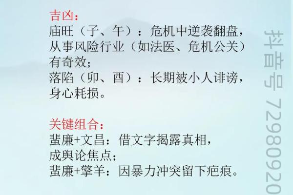 紫微斗数初学入门 紫微斗数实用技法？