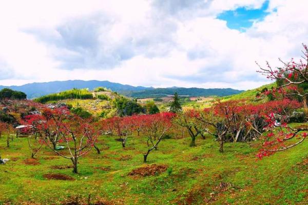廿四山的桃花方位,桃花方位怎么确定