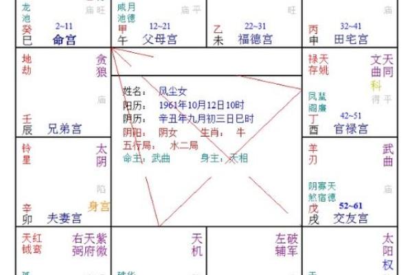 紫薇星七杀星在命宫
