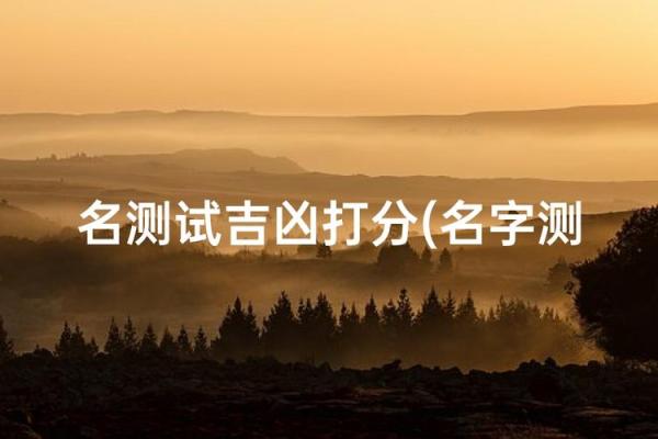姓名测试打分算命…