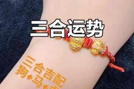 有助男人事业运的生肖配对