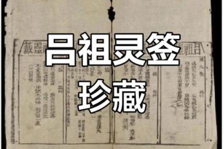 吕祖灵签野草闲花