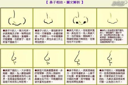 算命黄白镜子面相
