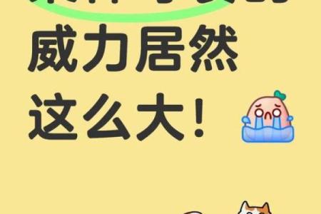 八字精明