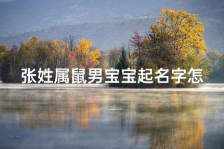 半夜出生的属鼠男孩起名用什么字最好姓名