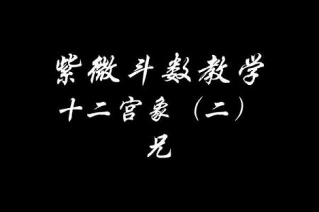 紫微斗数诸星落诸宫之：兄弟宫