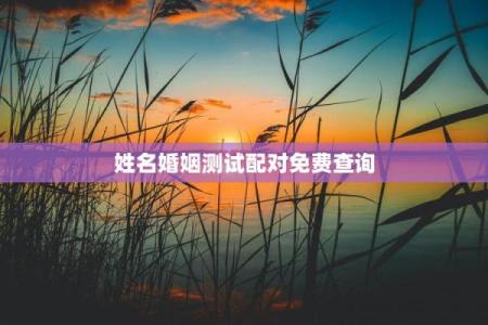 免费测试姓名配对,免费姓名配对缘分测试