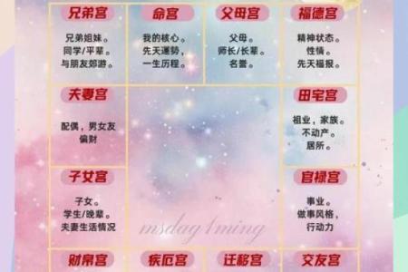 紫薇斗数中斗君的意义是什么