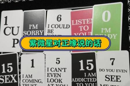 紫薇星必须要与正缘结婚吗