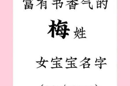 梅姓女孩名字大全-梅姓女孩起名字大全-梅姓名字大全姓名