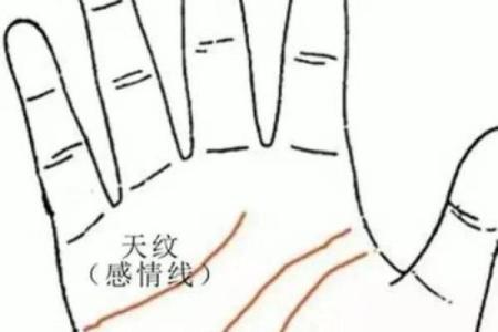 掌纹算命可靠