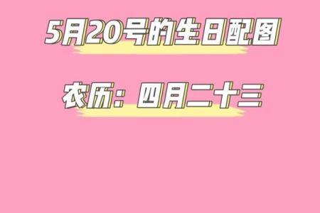 20日生日是什么星座