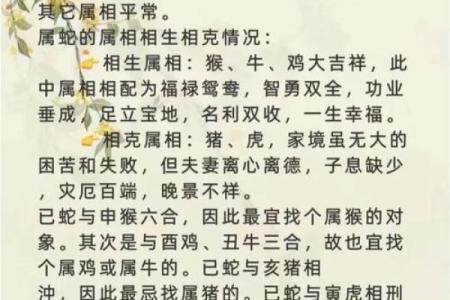 婚姻配对属龙和属猪姻缘怎么样