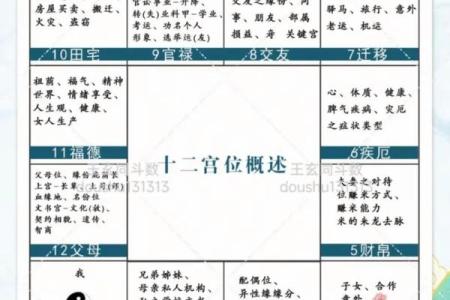 一分钟学会紫微斗数——夫妻给我带来的福气#国学文化