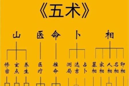 紫微斗数之：十二宫位