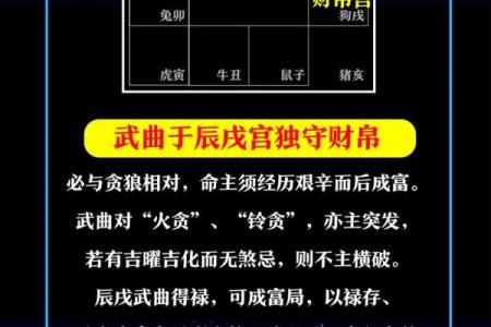 紫微斗数诸星落诸宫之：武曲星田宅宫详解