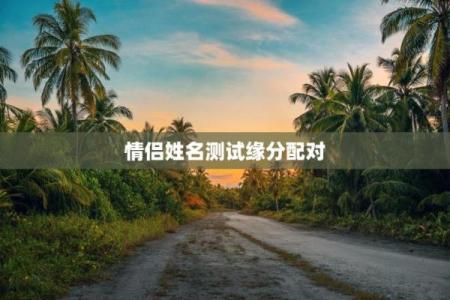 缘分测试姓名配对,姓名缘分婚姻配对测试