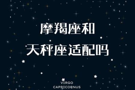 摩羯座和哪个星座朋友最好
