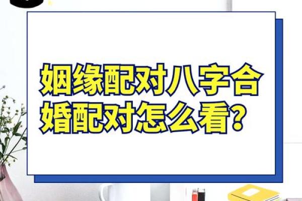 在线八字合婚