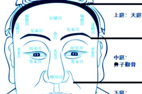 教你怎么成为旺夫的的女人，面相算命图解