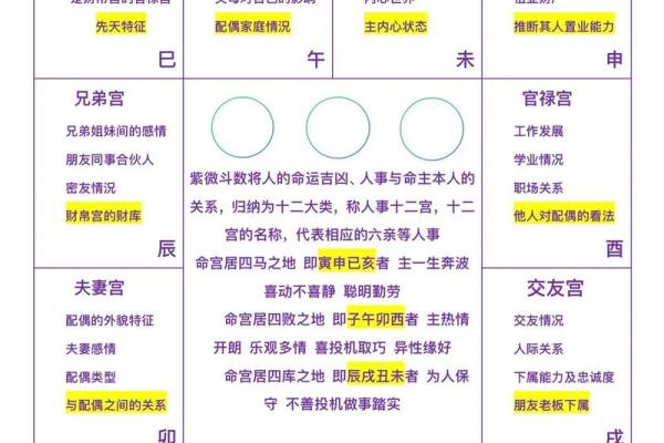 紫薇斗数排第几