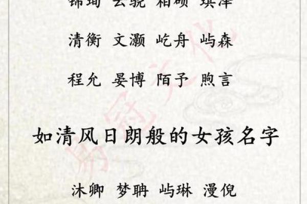 2019年3月28号丑时出生的男孩要怎么起名字姓名