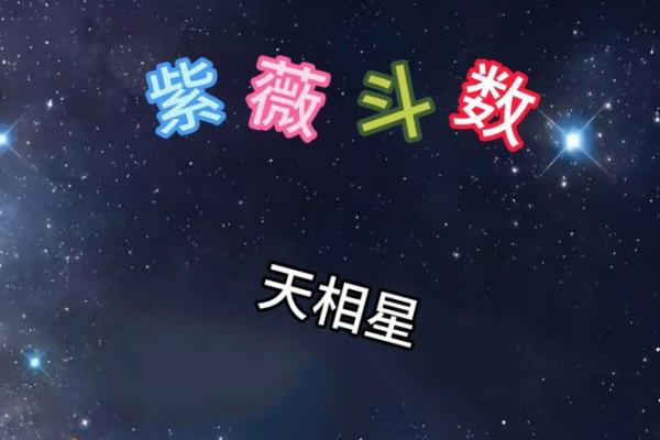 天厨星紫薇斗数