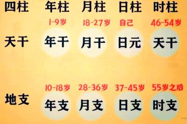 生辰八字所占四柱