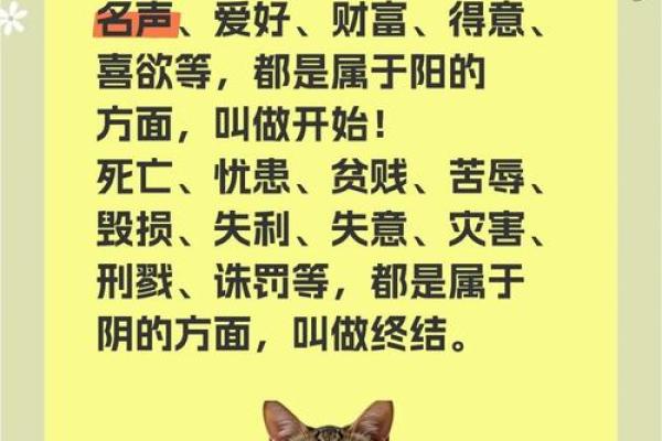 鬼谷子为何被后世尊为占卜算命的祖师爷