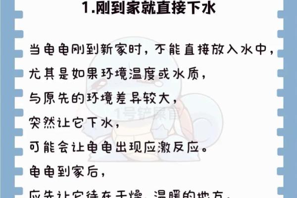 养多少只龟 养龟风水 养几只龟好