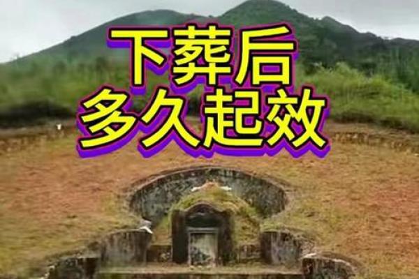 子孙后代风水