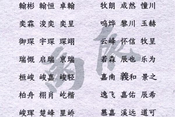 2019年4月19号卯时出生的男孩如何起名姓名