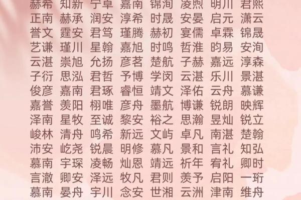 2019年4月19号卯时出生的男孩如何起名姓名