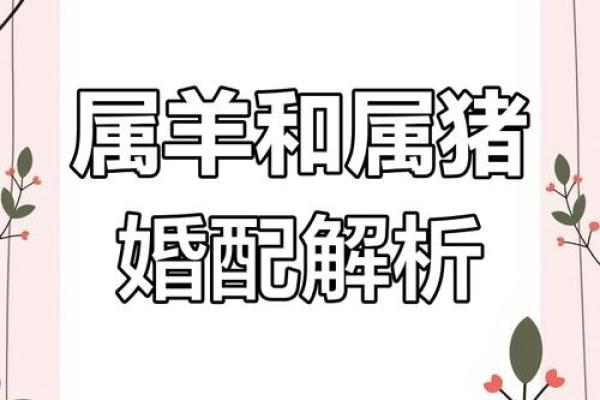 属相猪的性格特点及其与其他属相的配对