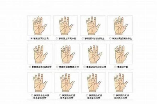 如何看手相算命看手相怎么看 如何看手相算命图片大全图解