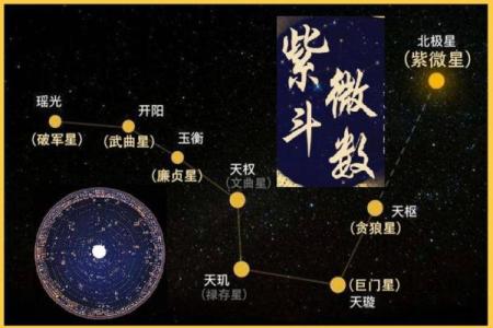 紫微斗数术语解释之：星曜的简称
