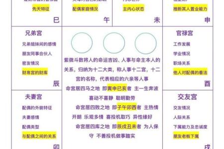 紫薇斗数排第几