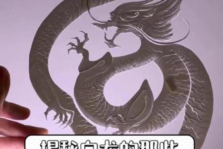 白龙八字