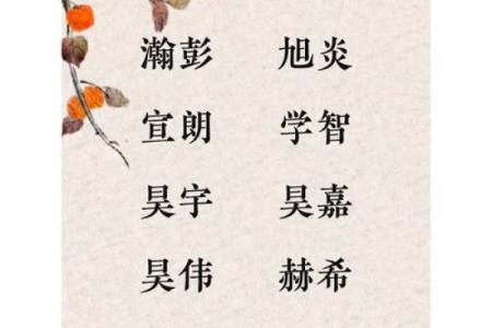 1月份出生的属蛇男孩如何取名姓名